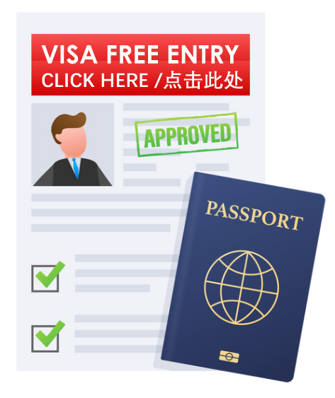 Visa Free copy